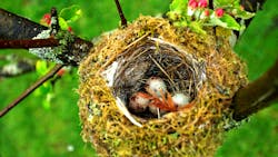 Dreamstime Xxl 19733056 6247100c8b3c3 Dreamstime Xxl 19733056 6247100c8b3c3