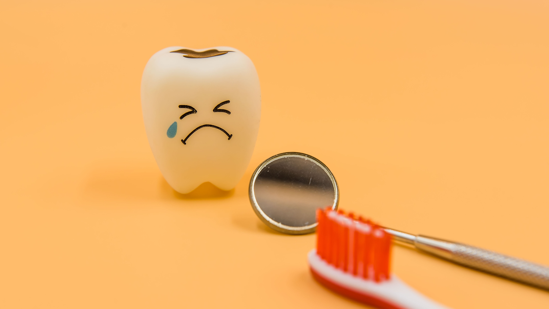 Dreamstime M 91522491 62339e5c0e5a0 62bb55306d40b