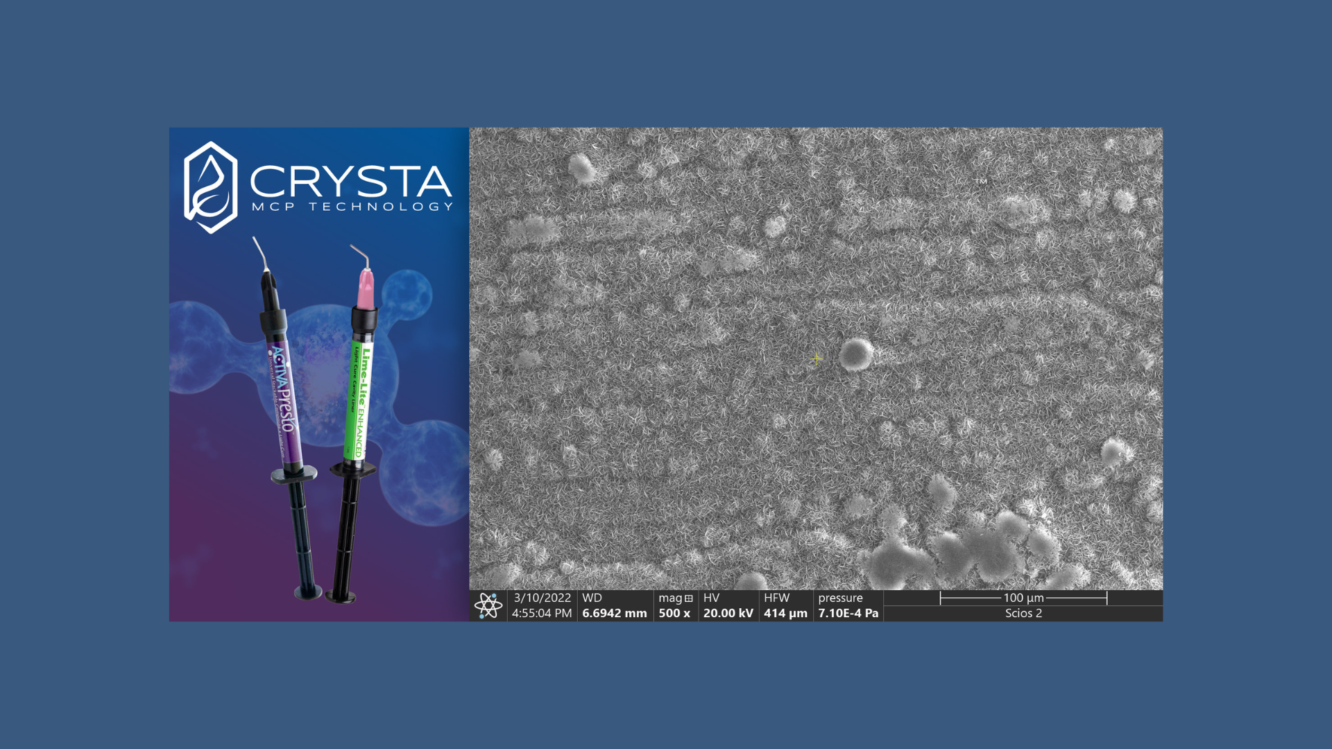 Hydroxyapatite discs facilitated by Crysta (image taken using scanning electron microscopy, 500x). Image courtesy of Dr. Salvatore Sauro, professor, Universidad CEU-Cardenal Herrera
