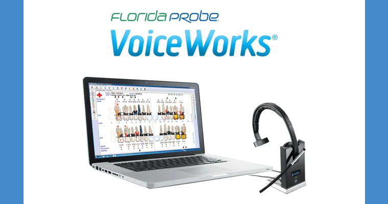 Voice Works Florida Probe
