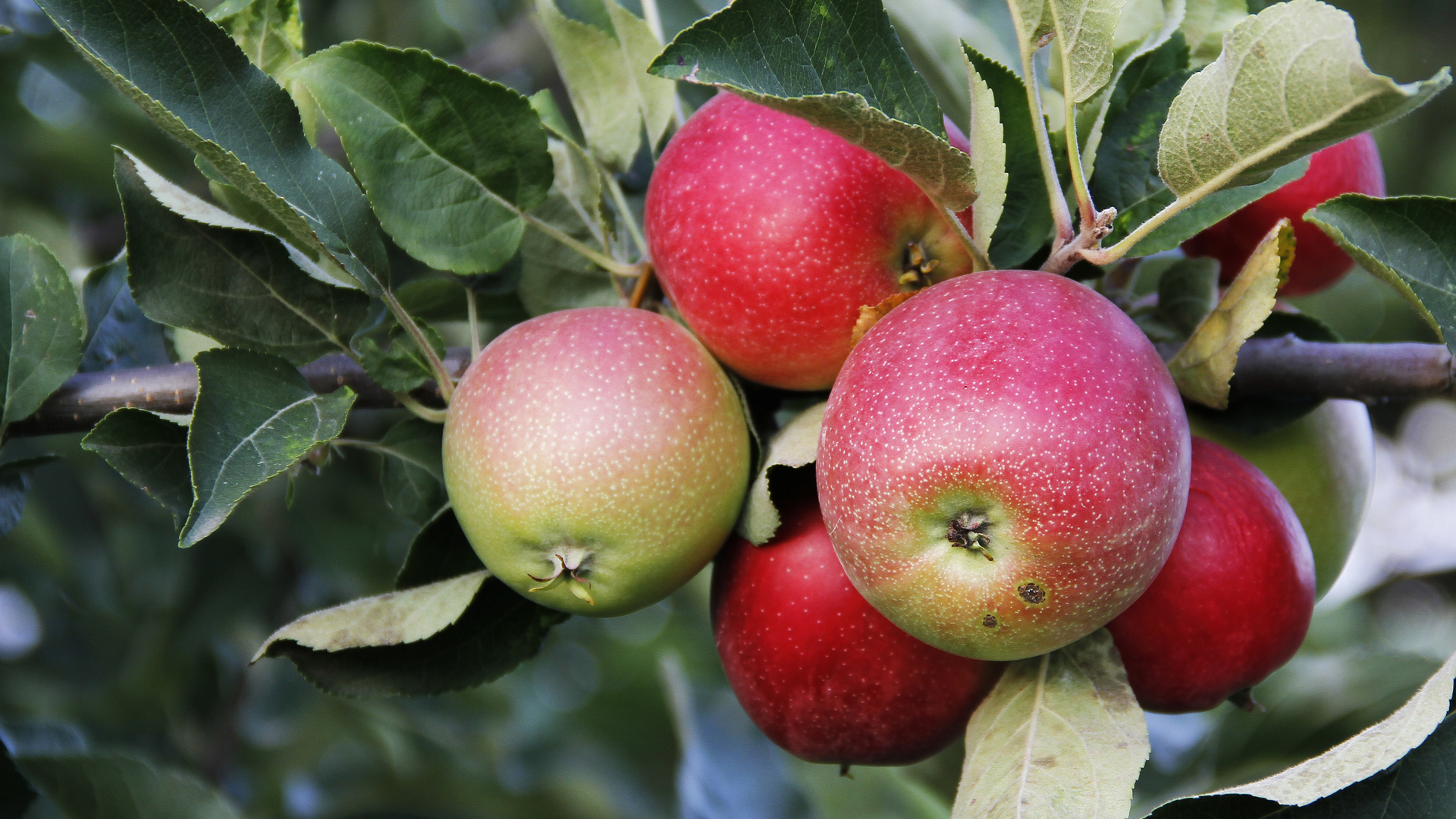 2209 De Cmur P01 62fa6ec7aafd5