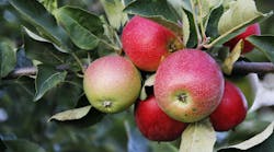 2209 De Cmur P01 2209 De Cmur P01