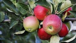 2209 De Cmur P01 62fa6ec7aafd5 2209 De Cmur P01 62fa6ec7aafd5