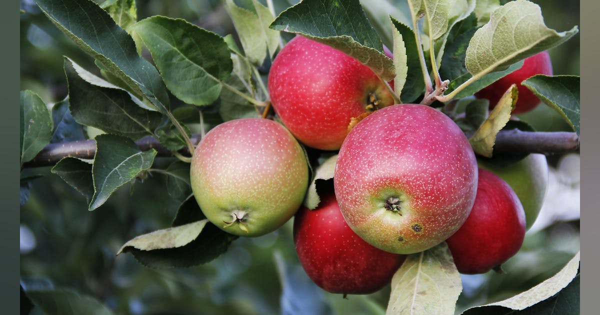 How to create wealth in perpetuity