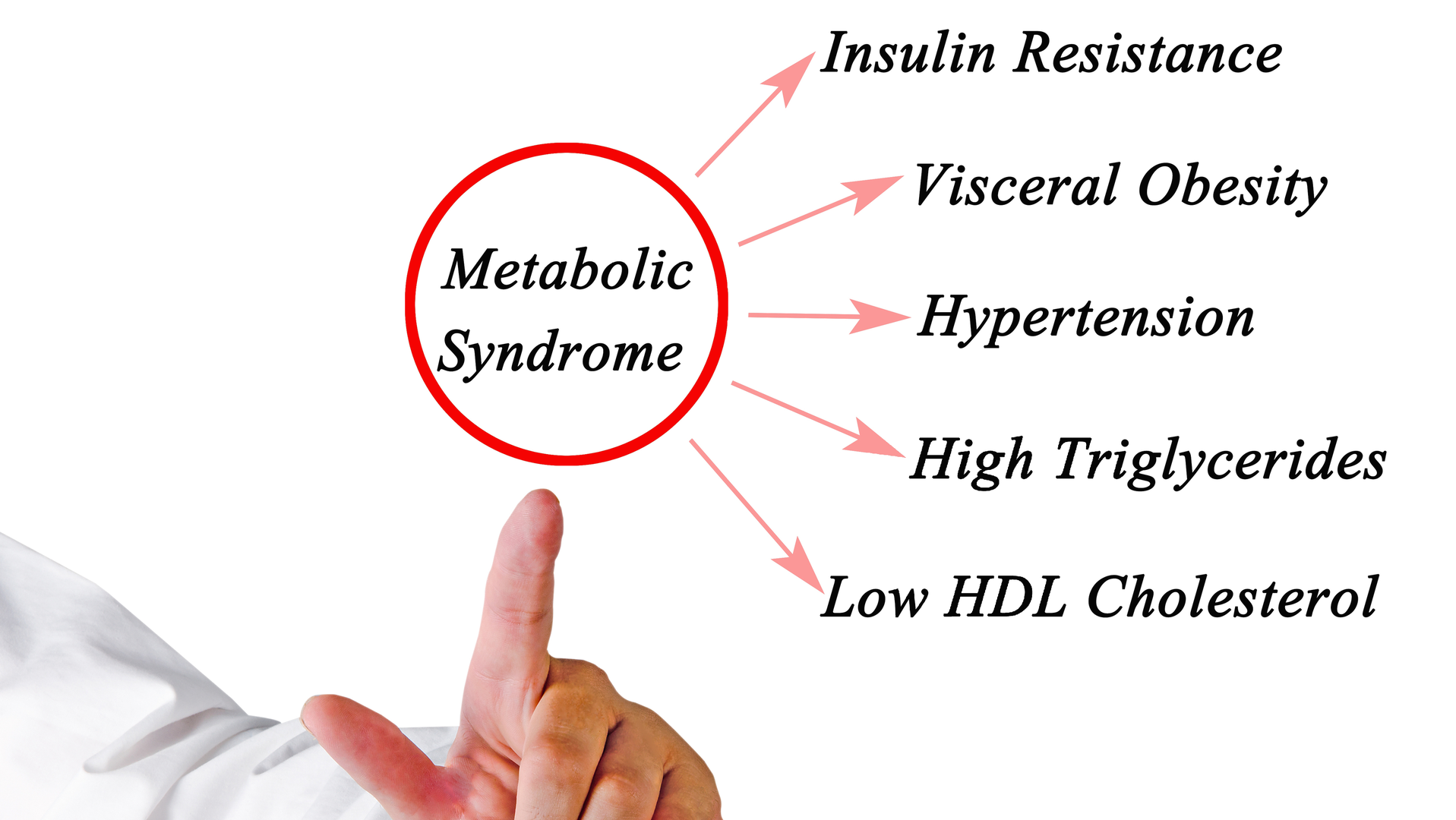 Lake Pointe Dental USA