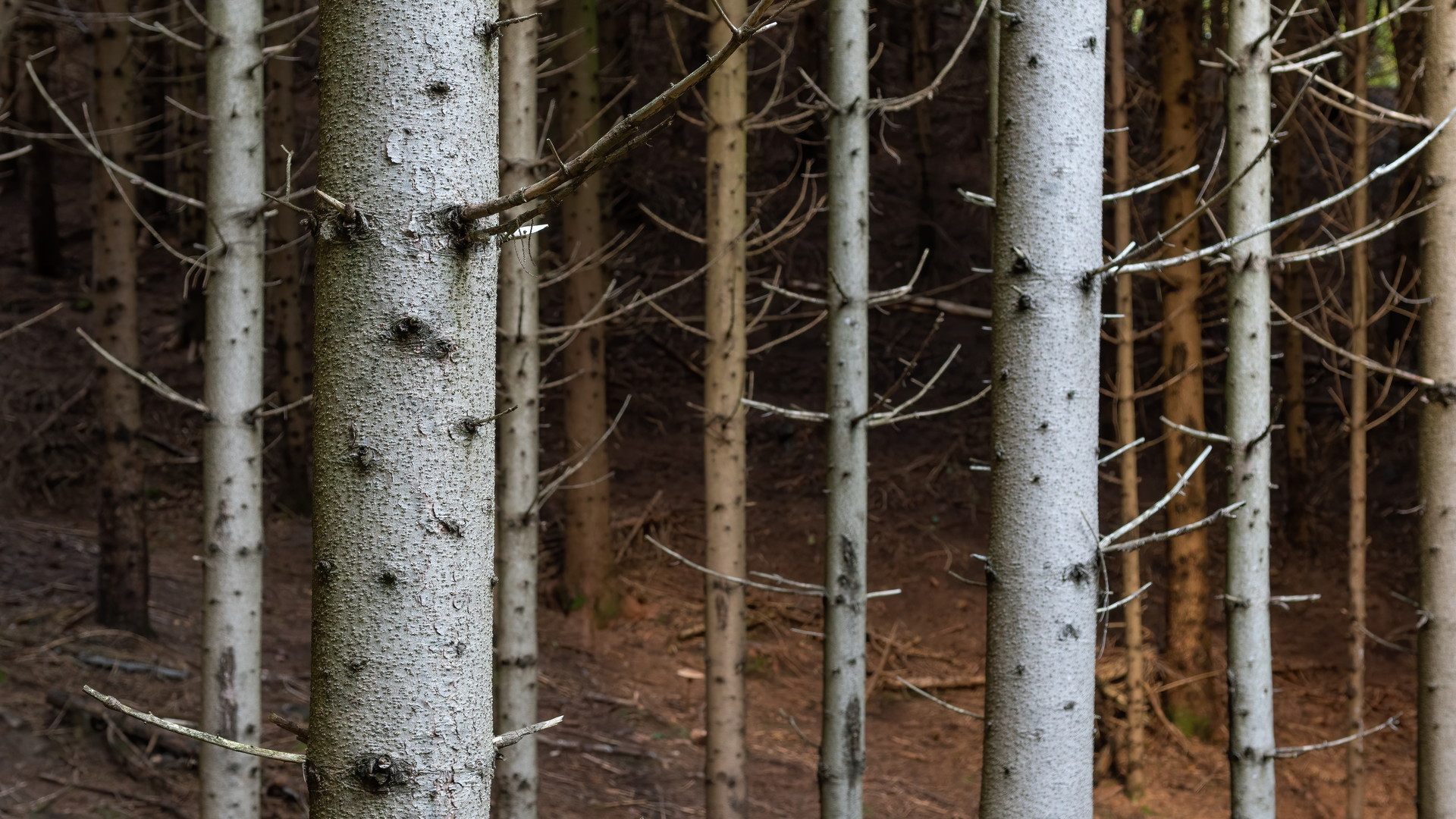 Getty Images 1281094017 6345c2dd41791