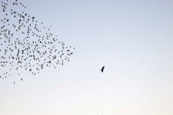 1671655142 Lasting Legacy 1671655142 Lasting Legacy