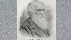 Darwin 63c0603741dbb Darwin 63c0603741dbb