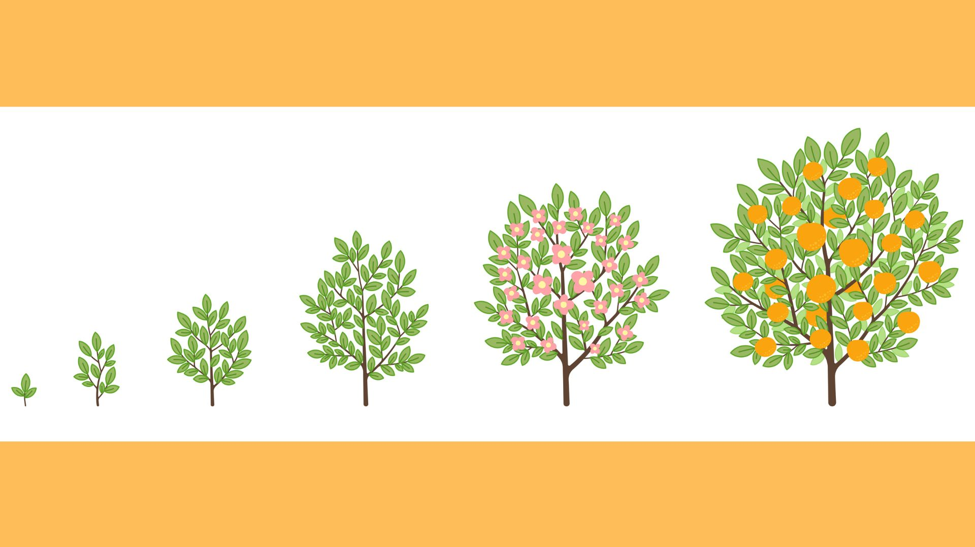 Murphy Online 6425a488e7f29