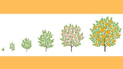 Murphy Online 6425a488e7f29 Murphy Online 6425a488e7f29