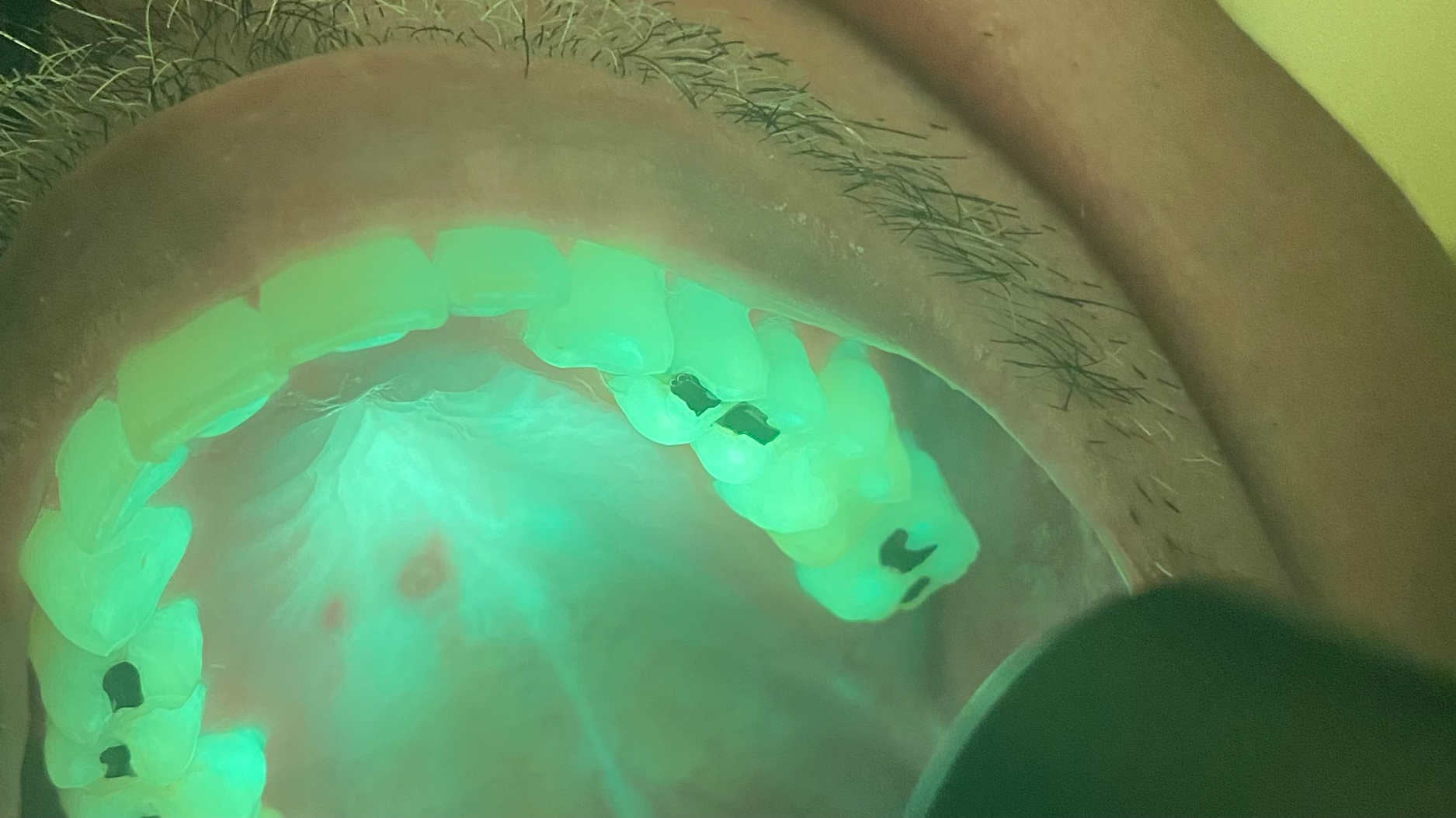 Primary 64483e70d7e89