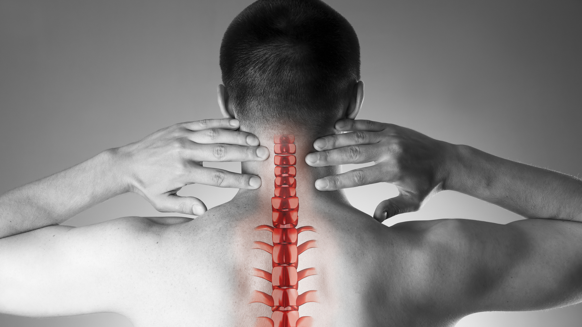 2306 De Cort P04 6480a4c596312