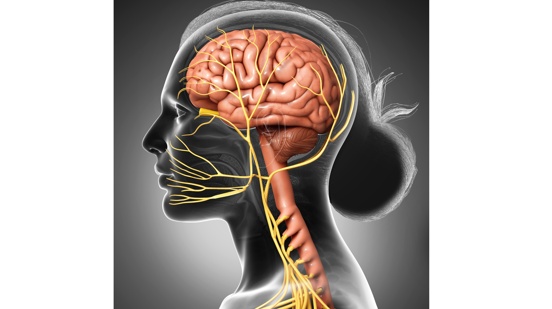 Getty Images 1257039594 B