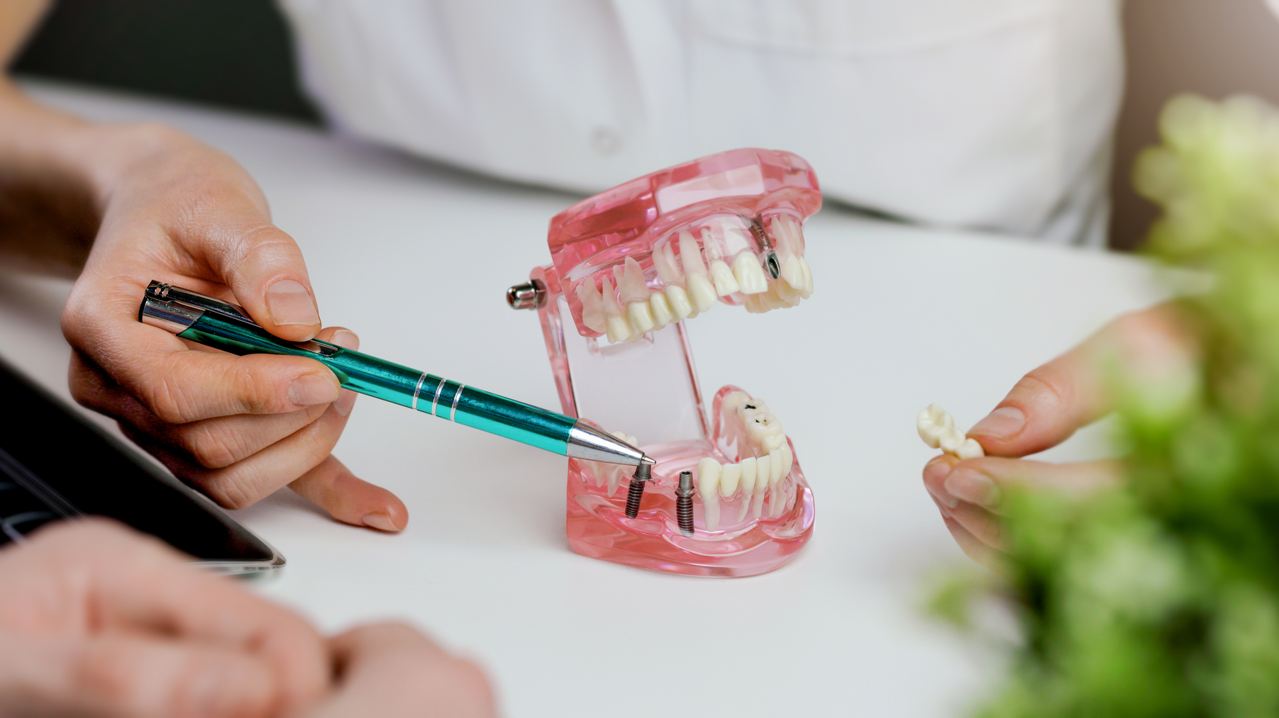 Dreamstime Xxl 204198818 64a701761748c