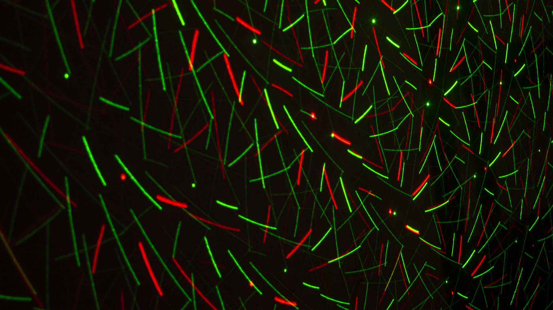 Dreamstime Xxl 211549111 64cc17ffa2a97