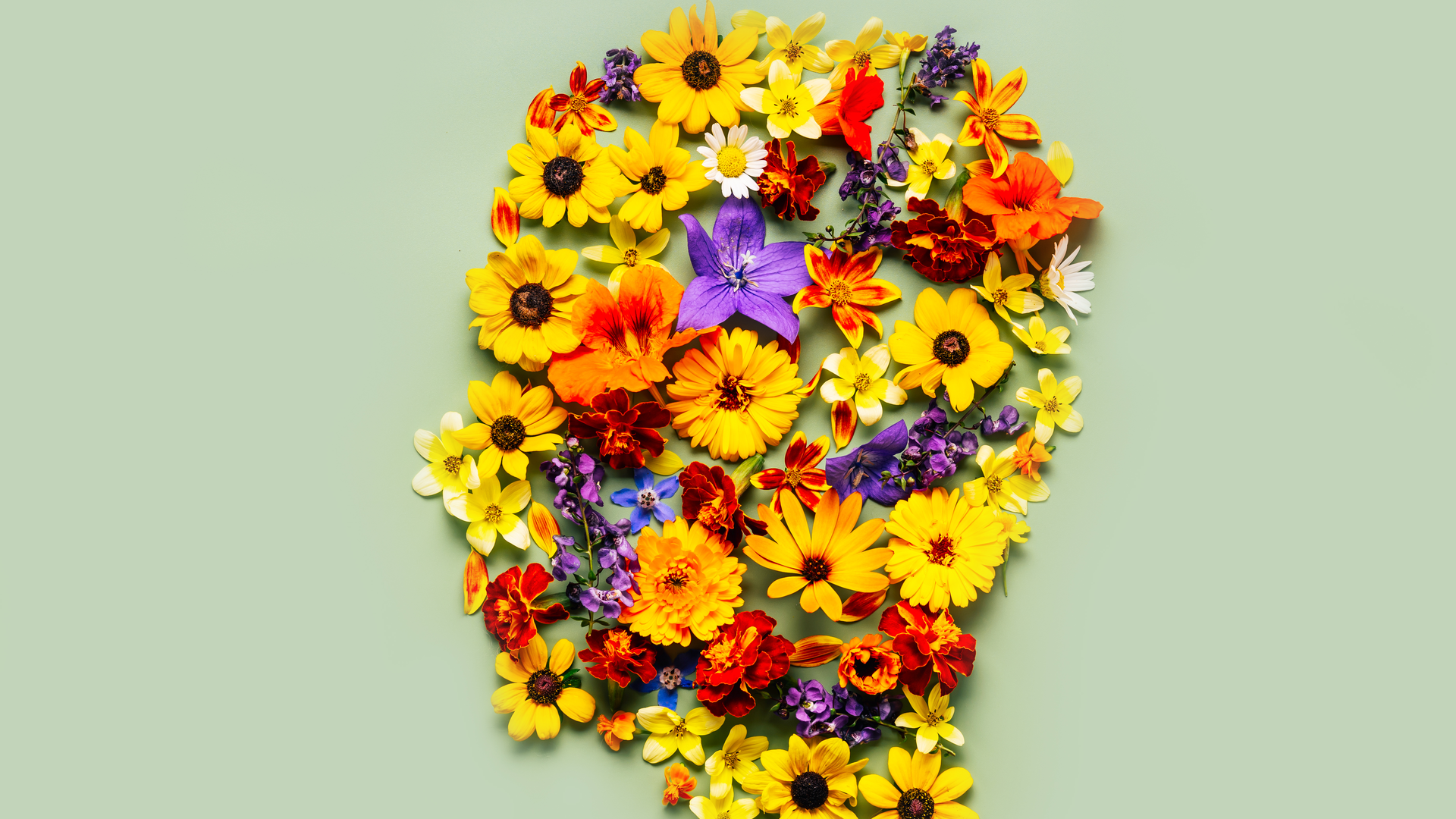 Getty Images 1457208224 651ec86dbc5ad