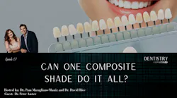 Can one composite shade do it all?