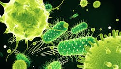 13. QASi particles (Nobio) 13. QASi particles (Nobio)