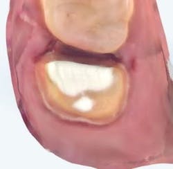 figure_2a_scanned_prep figure_2a_scanned_prep