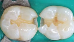 659ed2431d5ebe001f1aae62 Primary 659ed2431d5ebe001f1aae62 Primary