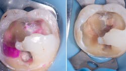 65c40d04320a85001e79faf6 Figure2 65c40d04320a85001e79faf6 Figure2