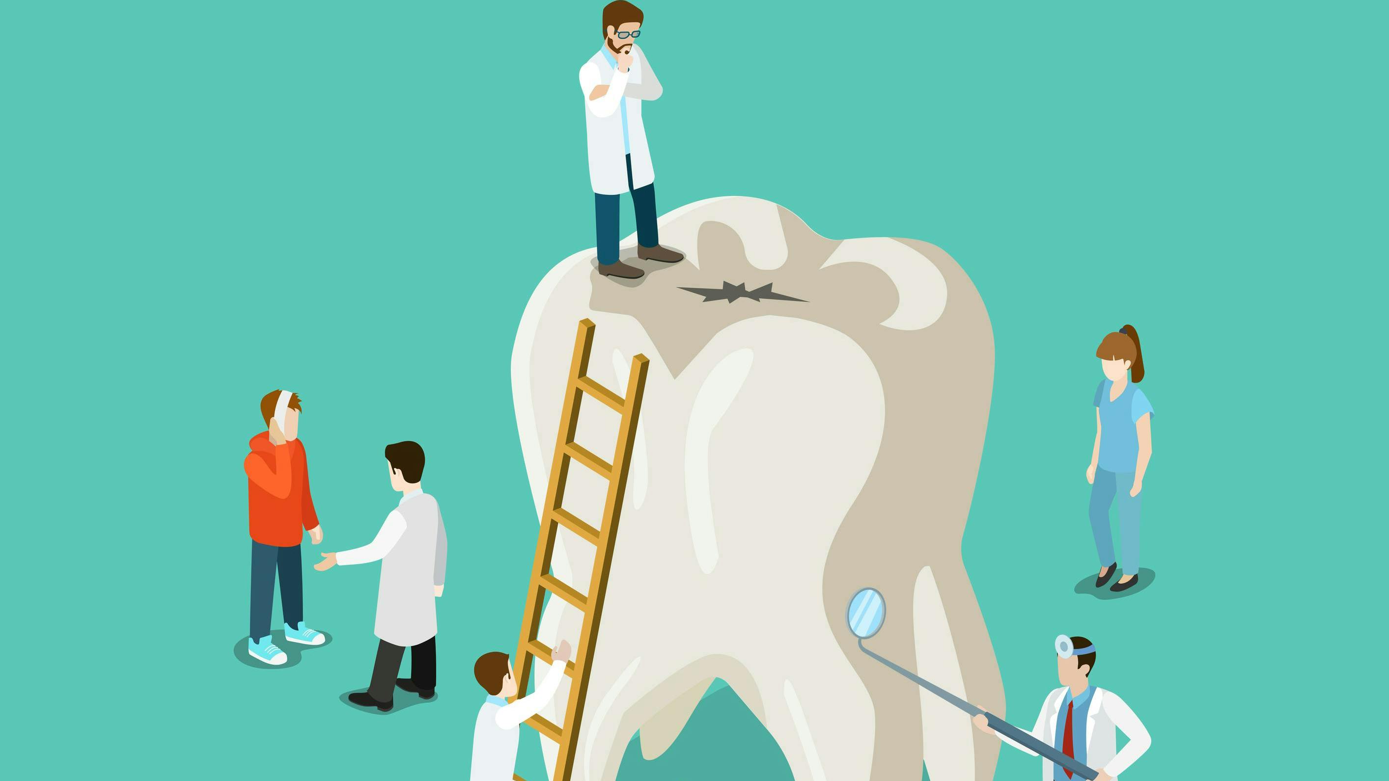 dental service organization