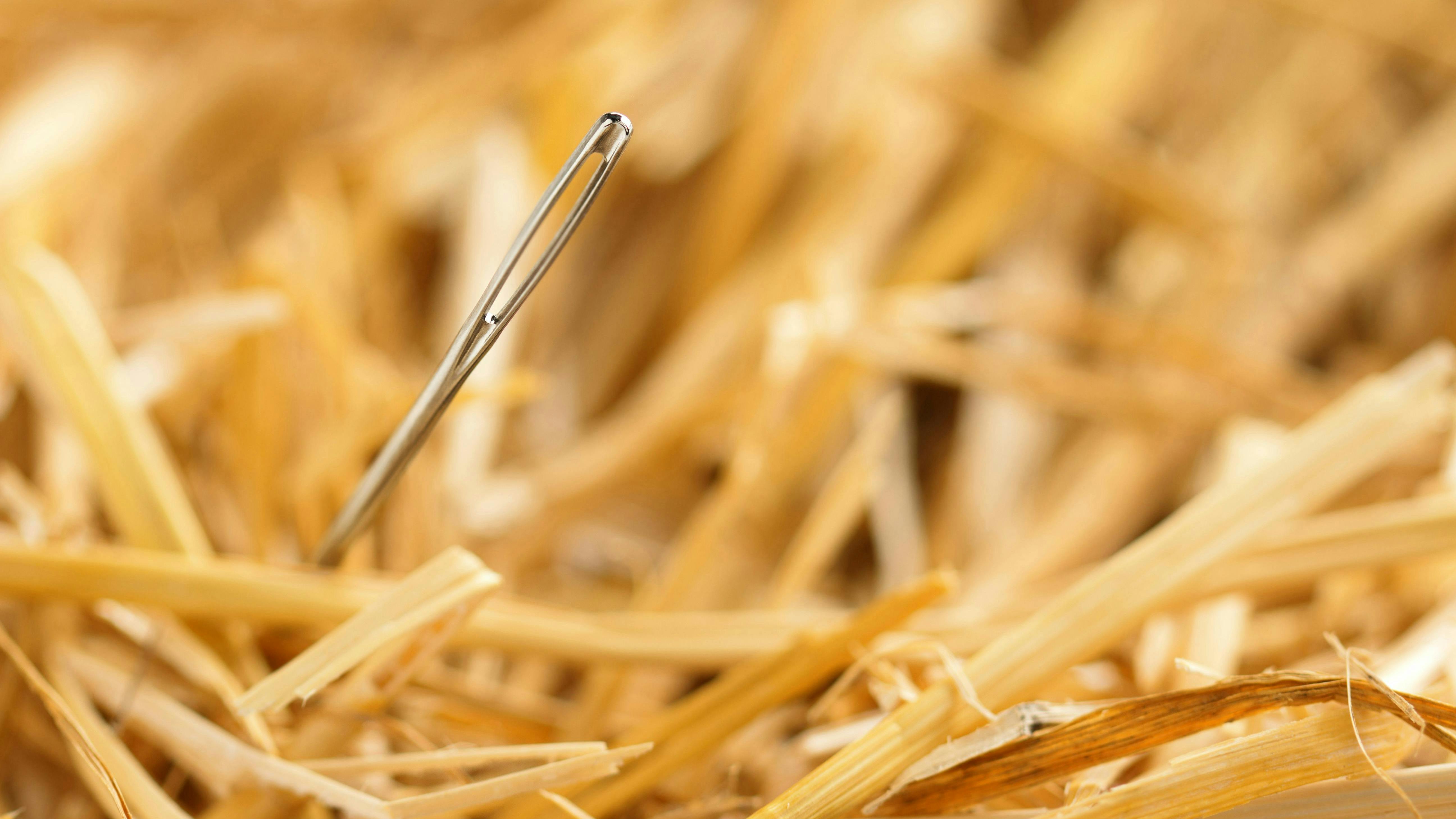 dreamstime_xxl_35815377