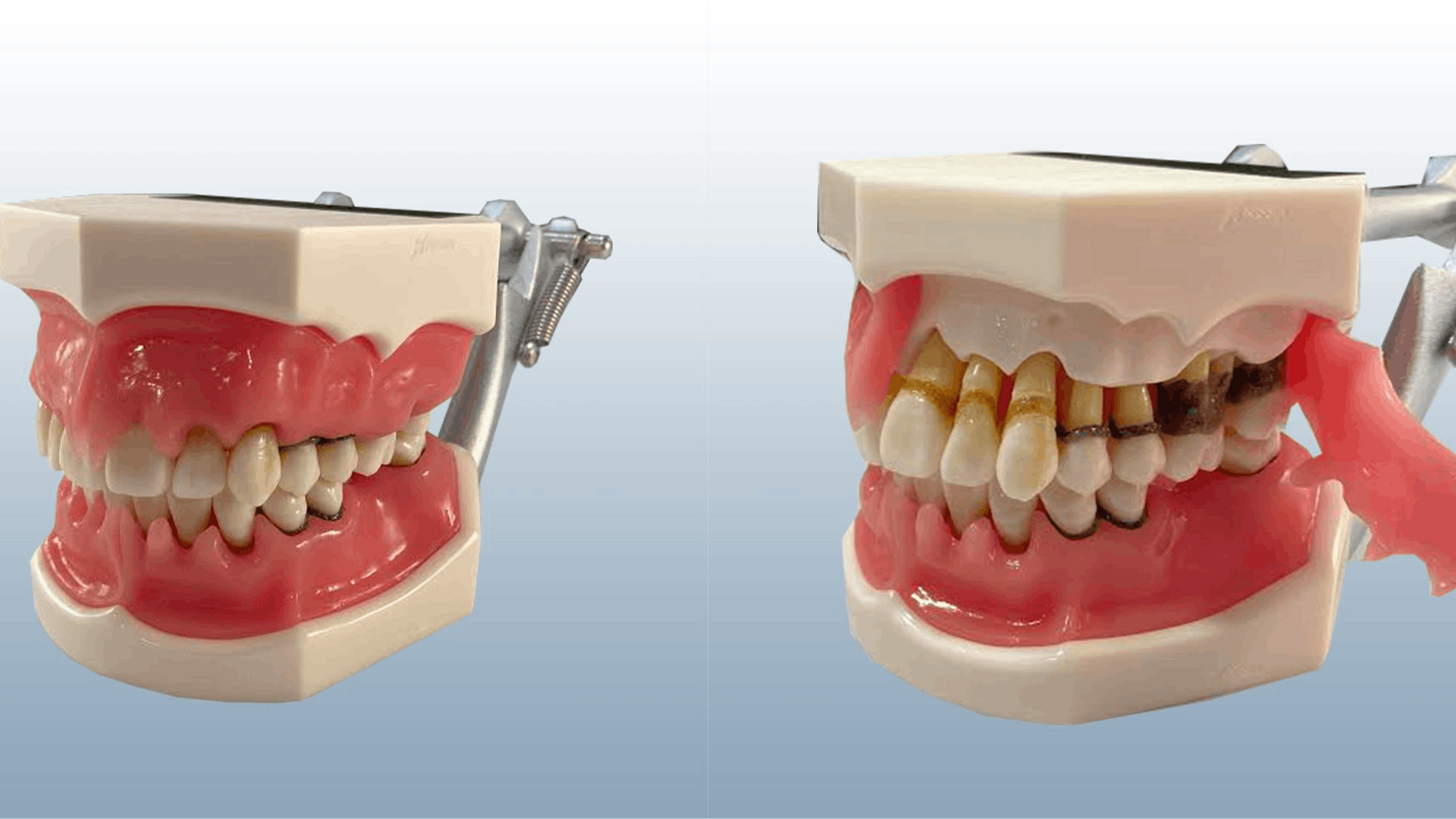 6660d90b04050c09a28b8c9a 662ab9c2779498001eaa0368figure2