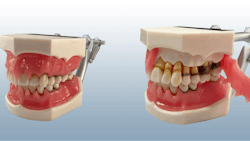 6660d90b04050c09a28b8c9a 662ab9c2779498001eaa0368figure2 6660d90b04050c09a28b8c9a 662ab9c2779498001eaa0368figure2