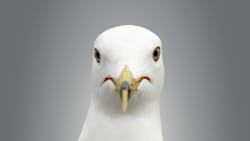 66856643c11de59825c749e7 Amanda Hill Bsdh Rdh 4 66856643c11de59825c749e7 Amanda Hill Bsdh Rdh 4