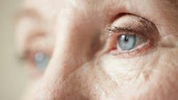 669553f691dd372d4068fb13 Dreamstime Xxl 87429195 669553f691dd372d4068fb13 Dreamstime Xxl 87429195