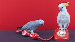 66b3e57b59f17461dc10c6cb Dreamstime L 24310874 66b3e57b59f17461dc10c6cb Dreamstime L 24310874