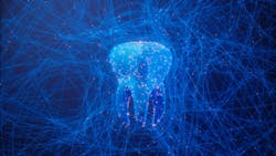 Take the time to implement the right dental technology for your practice. Take the time to implement the right dental technology for your practice.