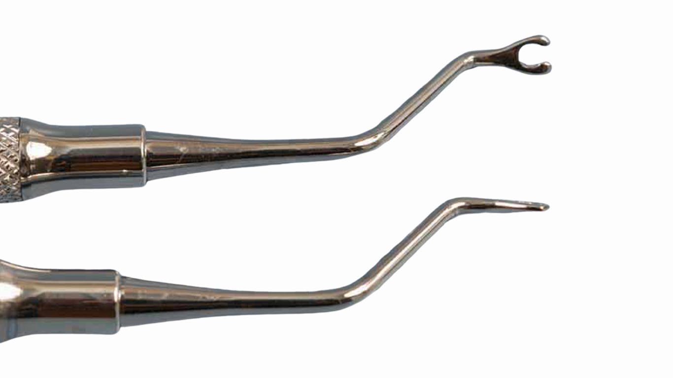 66d8bc1042440028db4fa0d7 Website Thumbnail 1