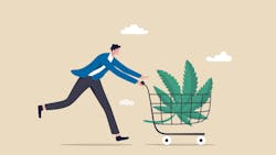 Know the laws before testing your employees for marijuana use. Know the laws before testing your employees for marijuana use.