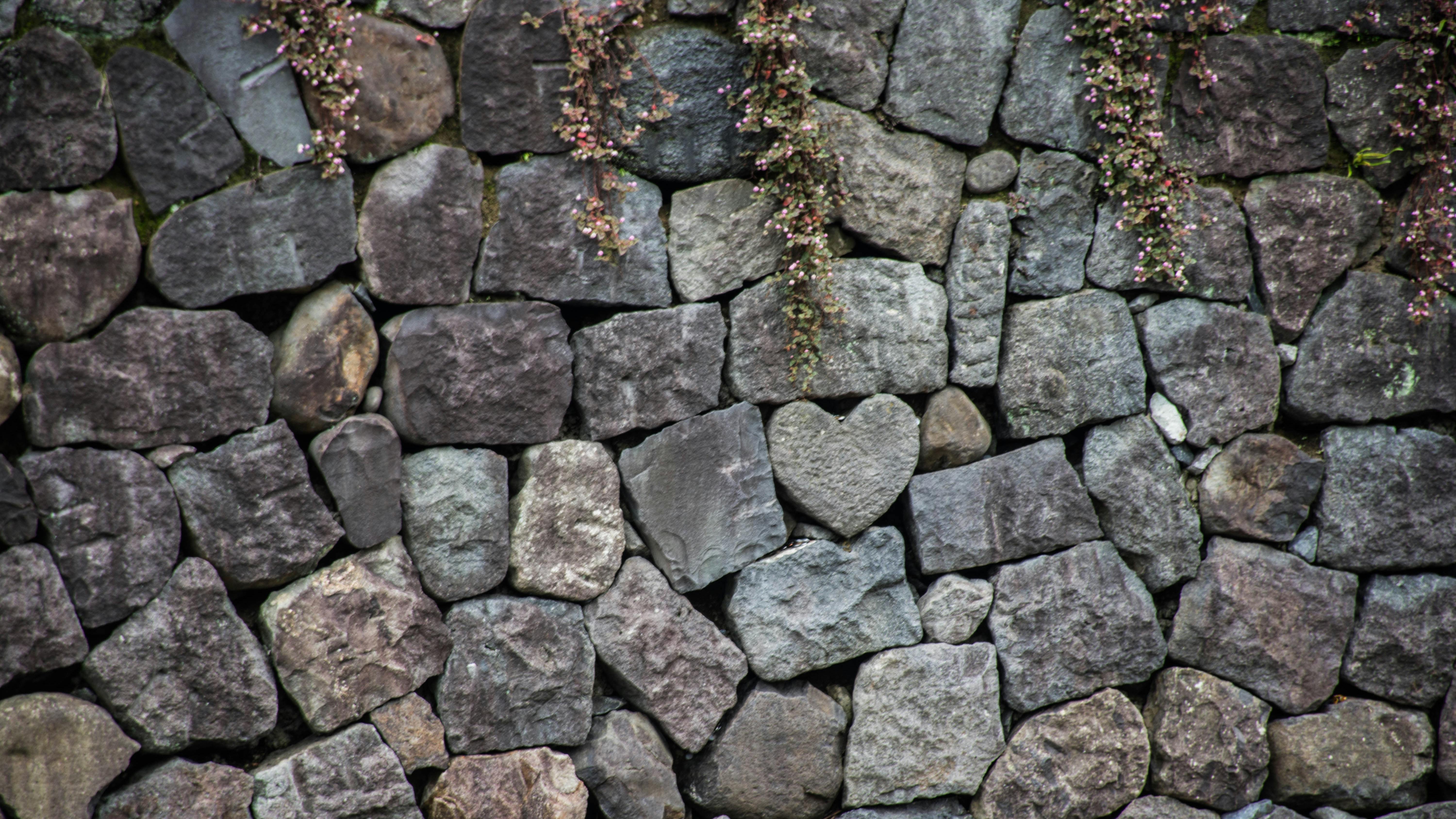 6751c41e81c6ac31d33afa6b Dreamstime Xxl 74126836