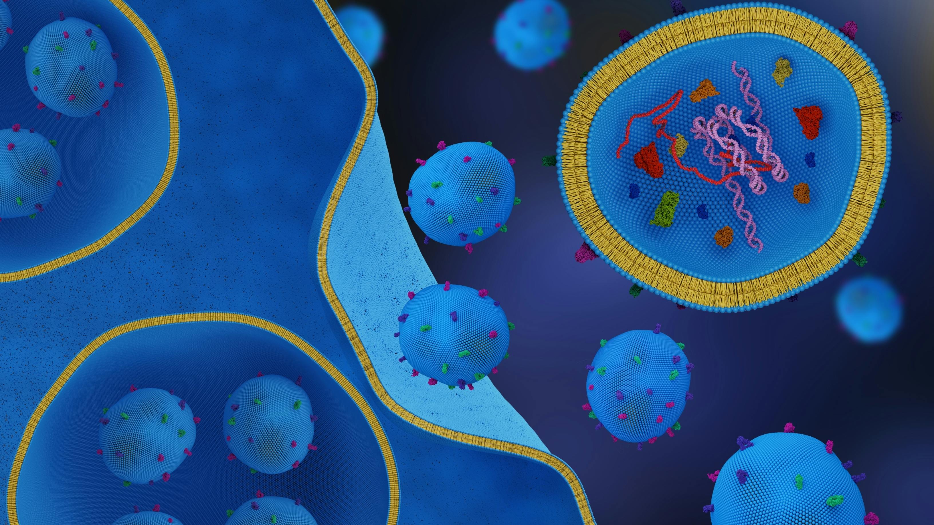 regenerative medicine and exosomes