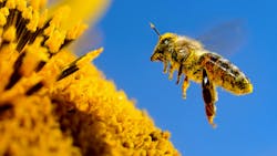 67bf5c3f5b5eaa8950c9eb87 Gettyimages1427357416 67bf5c3f5b5eaa8950c9eb87 Gettyimages1427357416