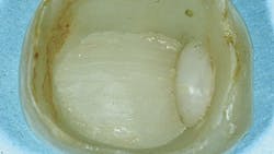 67f3e715fbd94961b61022b2 67a2422b25860de36c38521cfigure3 67f3e715fbd94961b61022b2 67a2422b25860de36c38521cfigure3