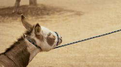 principles-of-practice-management principles-of-practice-management