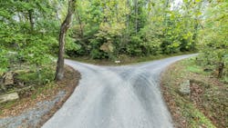 Split path in the woods Split path in the woods