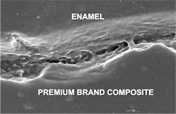 scanning electron microscope image scanning electron microscope image