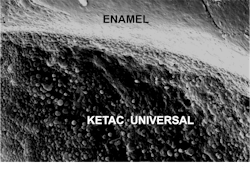 scanning electron microscope image scanning electron microscope image