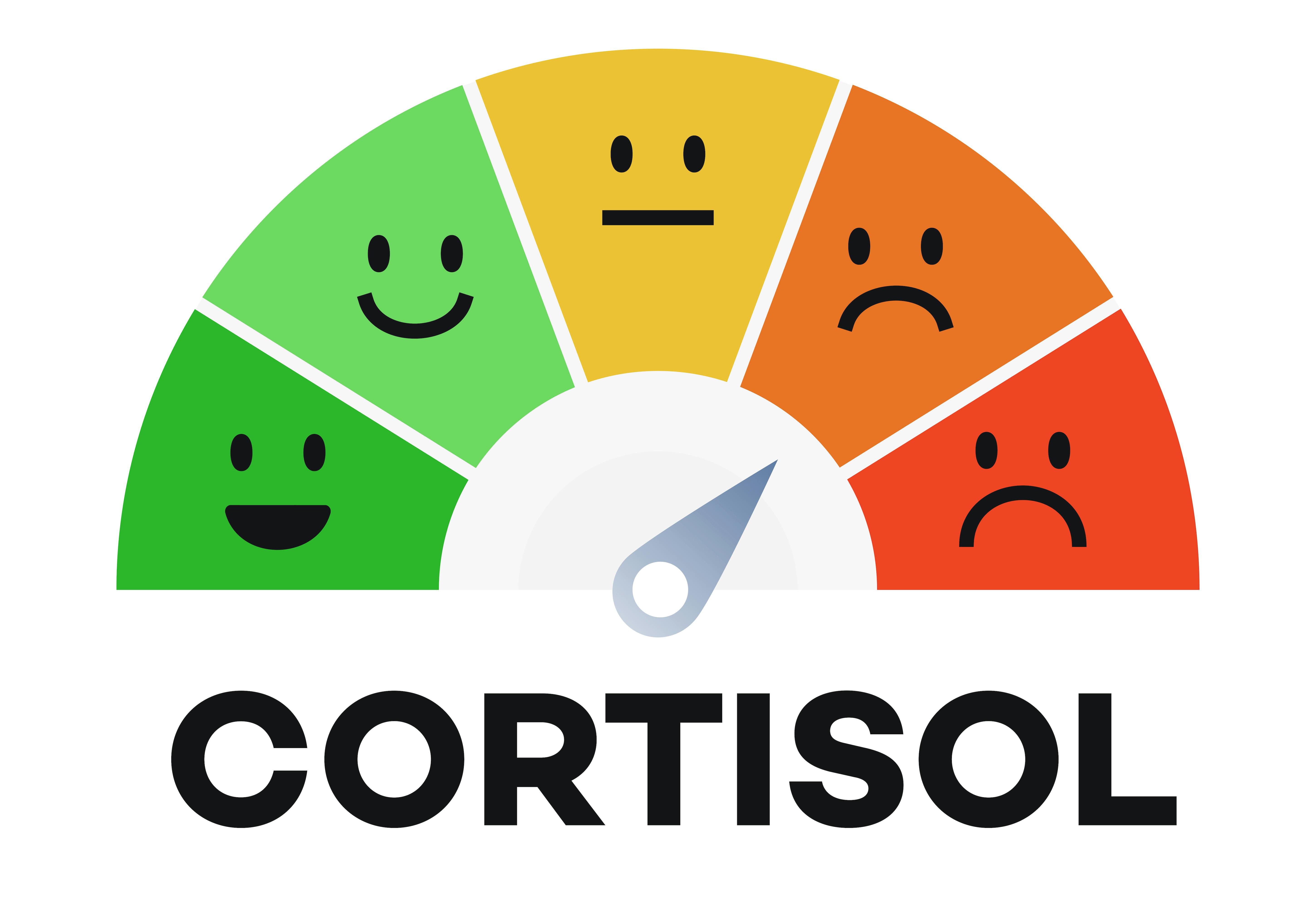 illustration of cortisol levels using various smiley facial expressions