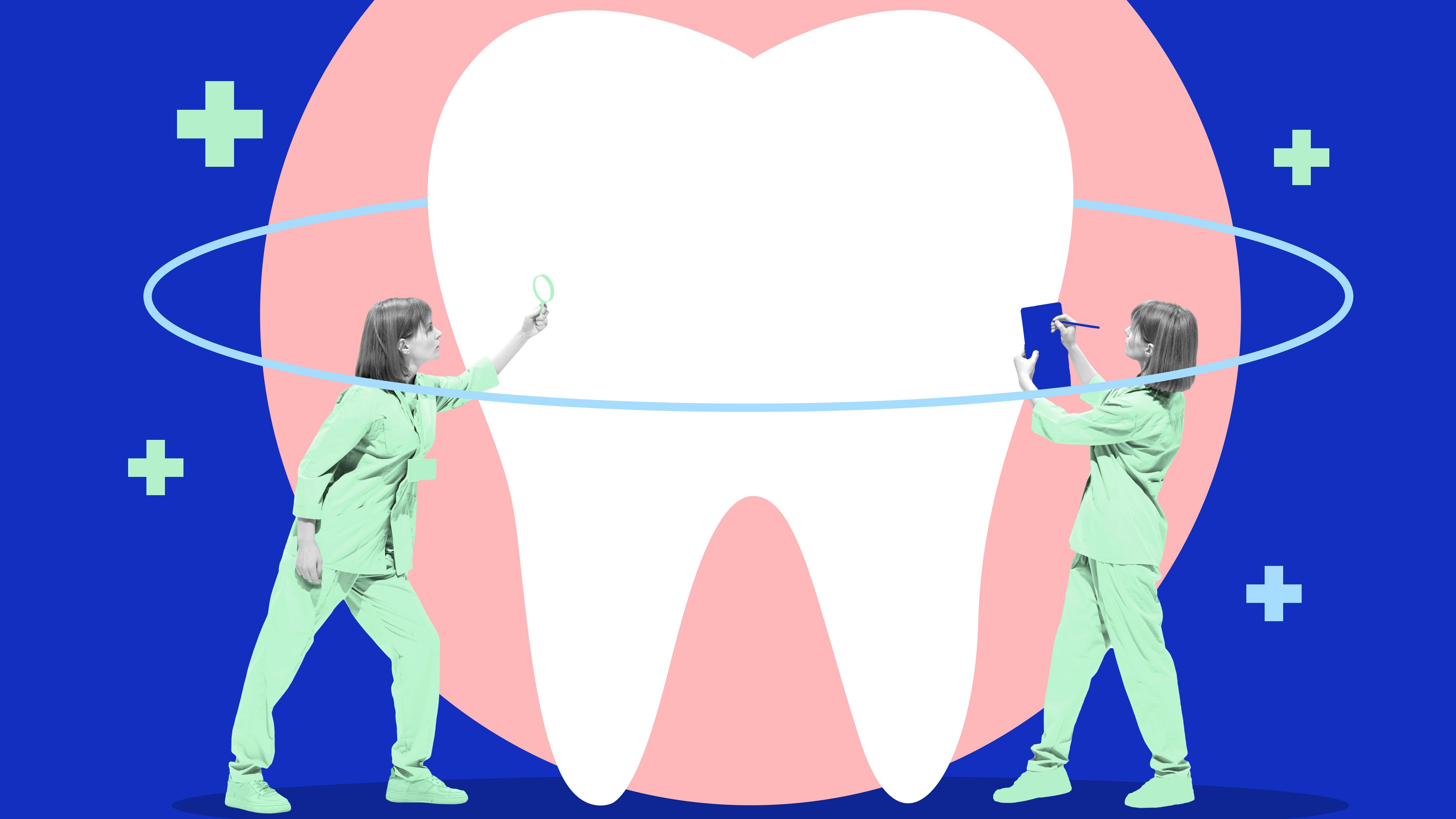 scientifically examining teeth